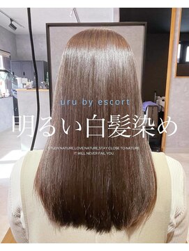 ウルバイエスコート 橋本(Uru by Escort) ブラウンカラー×明るい白髪染め