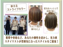 ビューティースポットカルサーの雰囲気( メッシュ カラー)