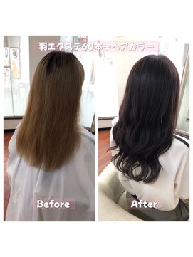 エクステアンドカラー ティアラ(teara) レミ羽エクステ60本＋カラー