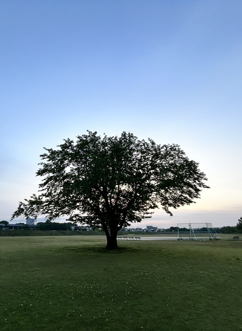 エマージュ 立川(Emerge) 最近は健康面に気をつけてランニングしてます☆★