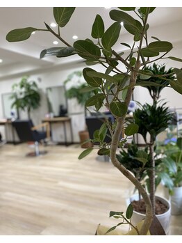 ラフヘアー(LaF)の写真/「また来たい」が自然に生まれるあなたのための美容室