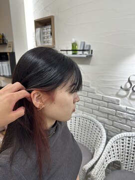 ヘアーグランデシーク(Hair Grande Seeek) イヤリングカラー/インナーカラー