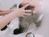 似合わせカット+癒しのプチヘッドスパ