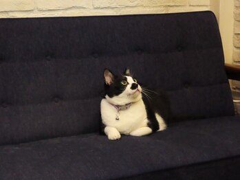 スニッグ(snygg)の写真/【綱島駅徒歩３０秒】お子様同伴可◎ベビーカー◎お子様がいても安心のオススメサロンsnyggへようこそ♪