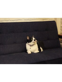 【綱島駅徒歩３０秒】お子様同伴可◎ベビーカー◎お子様がいても安心のオススメサロンsnyggへようこそ♪