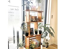 グラムコード 桜並木駅前店(GLAMCODE)の雰囲気（明るく、緑に囲まれた店内♪）