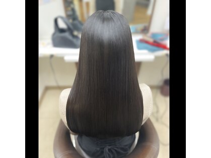 ステデイ(steady)の写真