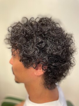 ヘアーフィーノ(hair fino) カーリー