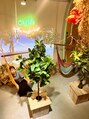 カシータ(casita) オトナの 秘密基地