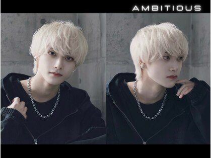 アンビシャス 河辺(ambitious)の写真
