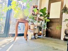 観葉植物が多く、自然の中にいるような落ち着いた店内です