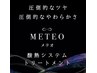 【毎月50名様限定★酸熱75%OFF】 カット+縮毛矯正 +髪質改善メテオTR
