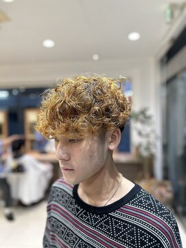 アッシュ 等々力店(Ash) poodle perm