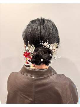 ログ(Log) シニヨン