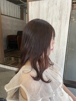 ディル(DILL)&nbsp;Berry purple