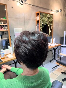 アイノア ルミナス 本山(AInoa Luminous) 【極上の髪質改善】プレミアムカラーエステ