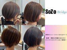 ソウゾウ ブリッジ(SoZo Bridge)