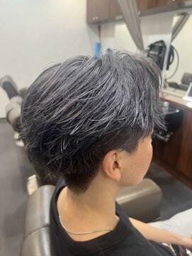 プロ ヘア テック(PRO HAIR TEC) アッシュグレー/ブリーチカラー
