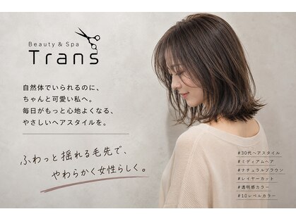 トランス(Trans)の写真