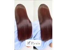ピュクシス(pyxis)