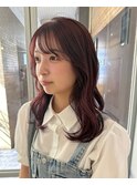 ピンクラベンダー