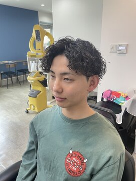 カッティングステージパルジュ(Cutting Stage PALJU) ウルフパーマ