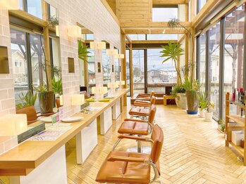 美容室りんごの木　稲田店　