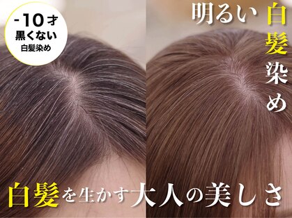 モイ(moy)の写真