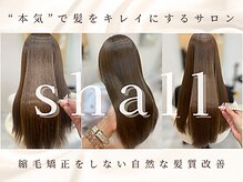 シャール(shall)
