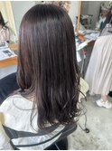 ラベンダーカラー