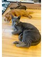 ティーダ(TEADA) 疲れた体には猫の癒しが身に染みるお年頃。wwww