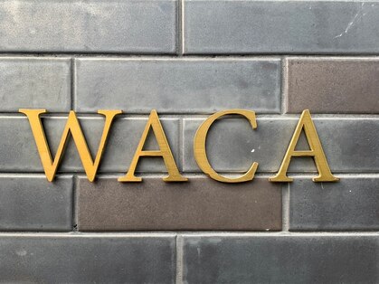 ワカ(WACA)の写真