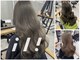 イリ 心斎橋(ili)の写真