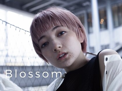 ブロッサム 池袋店(Blossom)の写真