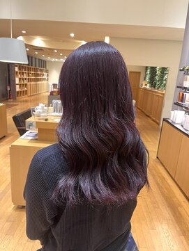 サラ ビューティ サイト 春日(SARA Beauty sight) 【ワンカラーで作る】ワインレッド/ツヤ感UP!