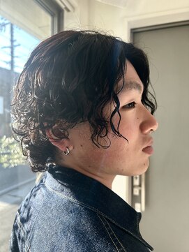 スキャナー(Scanner) 波巻きサーフカール