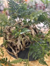 リカラー(Re.Color) Kaori