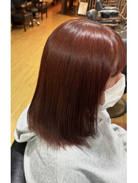 パピヨンロゼ(Papillon Rose) レッドカラー