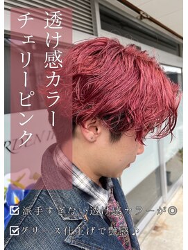 ネリネ(Nerine) ピンクブラウン