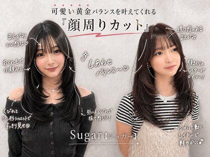 シュガー(Sugar)の写真