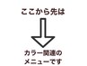カラーを含むメニュー