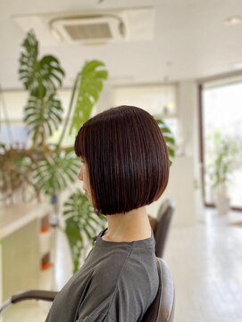 トライスター(TriStar) ミニボブ