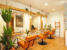 ボンド(bond.)の雰囲気(木の暖かみと緑溢れる店内)