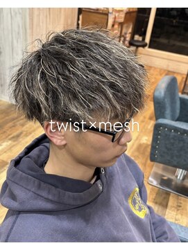 ジェミニ(Gemini) ツイストメッシュ