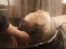 ヘアースニップ(Hair Snip)