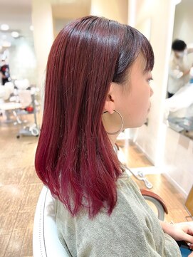 レンジシキチジョウジ (RENJISHI KICHIJOJI) レッドミディ【RENJISHI】