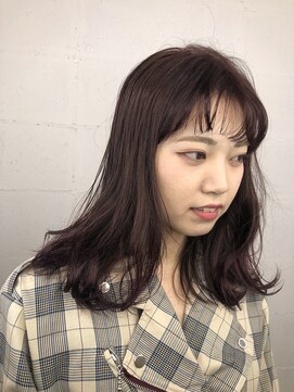 キジ(KIJI) レッドラベンダー　※ケア詳細はブログまで