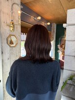 ファスナー(fustener) ディープブラウン