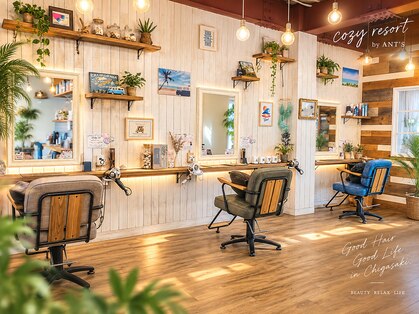 コージー リゾート バイ アンツ 茅ヶ崎駅前店(cozy resort by ANT'S)の写真