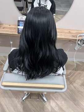 モナルダ(Monarda) ブルーブラック